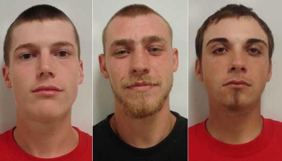 From left, Jayson Wolfe Alvarez, 18; Giovanni Phillip Steffen, 22; and Jacob Thomas Steffen, 20, all of Clearlake, Calif., were arrested on Saturday, February 28, 2015, for an assault resulting from a property dispute. Lake County Jail photo. 022815stabbingsuspects