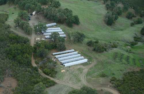 A Lake County Sheriff's overflight located 10 large greenhouses on an undeveloped parcel of property in the Jerusalem Valley area of Middletown, Calif., on Friday, May 9, 2014. Lake County Sheriff's Office photo. 050914potoverflight