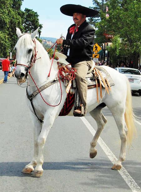 A vaquero on horseback in the Middletown Days Parade on Saturday, June 20, 2015, in Middletown, Calif. Photo by John Lindblom/Lake County News. 062015mtwondaysvaquero