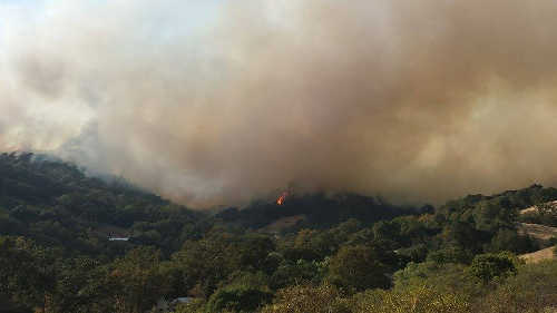 The fast-moving Black Fire in Mendocino County, Calif., on Saturday, September 13, 2014. Courtesy photo. 091314blackfireanon2