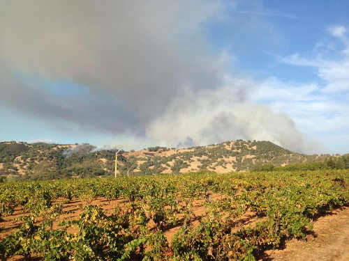 The Black Fire in Mendocino County, Calif., on Saturday, September 13, 2014. Photo by Delvon Lorenz. 091314delvonlorenz
