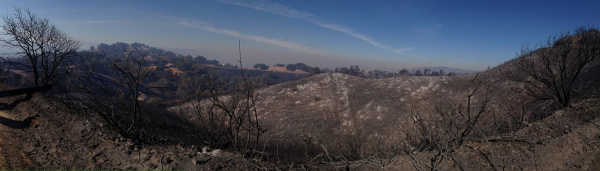 The Black Fire has burned more than 400 acres in Mendocino County since it began on Saturday, September 13, 2014. Haley Thornton took this picture of some of the damage. 091414blackfirethornton