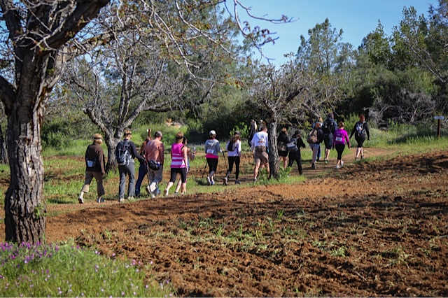 A hiking group on Wright Summit Trail on Mount Konocti in Lake County, Calif., during the inaugural “Hike 4 Healing” in 2014. Courtesy photo. 2014healinghikegroup