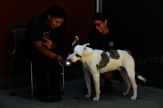 060625lcaccarloandfriends