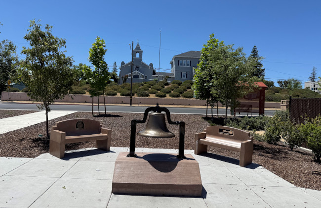 rotarytreeinitiative1