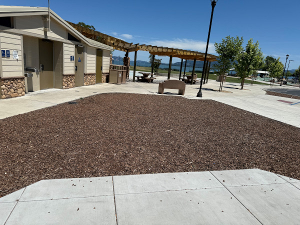 rotarytreeinitiative2