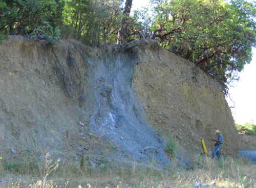 An exposure on the Bartlett Springs fault, shown here as sheared serpentine. US Geological Survey photo. bartlettspringsfault