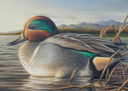 chuckblackstampwinner