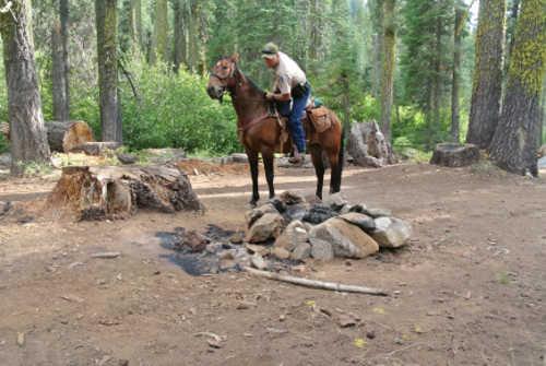 California Department of Fish and Wildlife Officer Jerry Karnow and his mustang, Modoc, investigate an unattended campfire. Photo courtesy of the California Department of Fish and Wildlife. equinepartners1