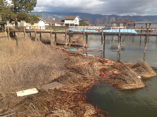 Debris from the “Casa-Nova” on the shore of Clear Lake near Lakeport, Calif., in early February 2015. Photo courtesy of Ulysses Mckeown. feb2015casanovadebris
