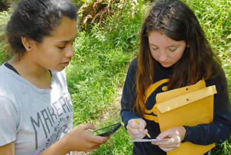 Two volunteers collect samples in the East Bay during the 2014 SOD Blitz. Photo by Douglas Schmidt, UC Berkeley. sodblitz