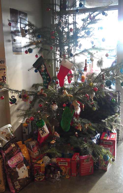 Lake County Animal Care and Control in Lakeport, Calif., with gifts for the shelters many pets. Photo by Elizabeth Larson. 121712lcactree