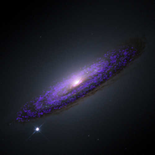 The galaxy NGC4526 with carbon monoxide clouds highlighted in purple. By tracking the movement of these clouds, astronomers can weigh the massive black hole at the center. Image courtesy of NASA/ESA and Timothy A. Davis. blackholeweight