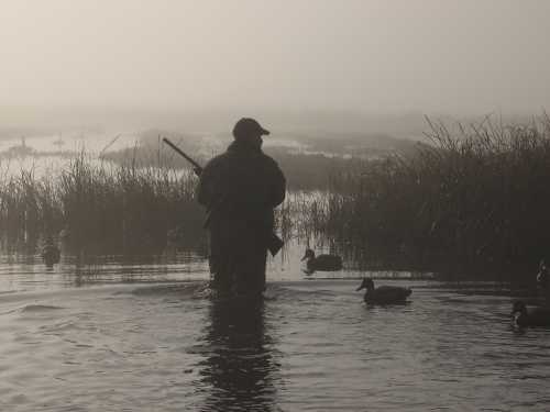 waterfowlhunting