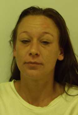 Monique Rushele Bird, 35, of Clearlake, Calif., was arrested on Monday, November 19, 2012, for burglary, terrorist threats and child endangerment. Lake County Jail photo. 111912michellebird