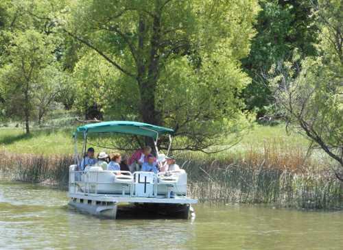 Pontoon boats will take bird enthusiasts out on Clear Lake in Lake County, Calif., on Saturday, May 4, and Sunday, May 5, 2013. They will be able to see nesting birds and wildlife. Courtesy photo. heronfestivalpontoon