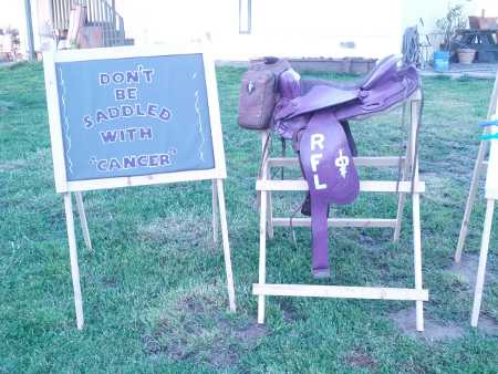 If you find this saddle in your yard, don’t worry – it’s for a good cause, the annual Lake County Relay for Life, which takes place in May 2013. Photo courtesy of Stacey Folmar. purplesaddle