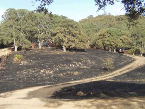 The fire on Sulphur Bank Mine Road in Clearlake Oaks, Calif., on Saturday, August 24, 2013, burned just over 19 acres. Photo by Elizabeth Larson. 082413sulphurfirehandcrews