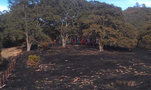 Cal Fire handcrews work on mop up at the site of a fire on Sulphur Bank Mine Road in Clearlake Oaks, Calif., on Saturday, August 24, 2013. Photo by Elizabeth Larson. 082413sulphurfirehandcrews2