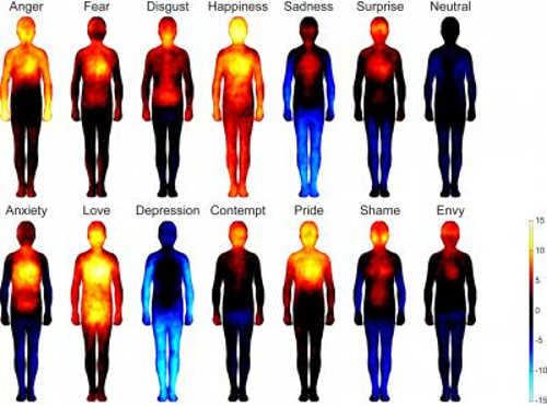 bodiesemotionmap