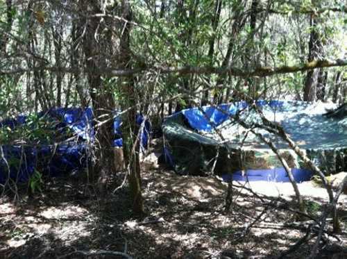 Lake County Sheriff's Narcotics Task Force detectives found marijuana growers near Kelseyville, Calif., were diverting water from a creek into plastic swimming pools to water the plants, which were eradicated on Monday, July 15, 2013. Photo courtesy of the Lake County Sheriff's Office. 071513potgrowpools