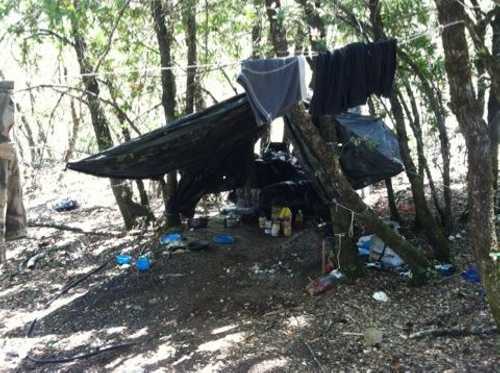 Evidence left behind by growers of an illicit marijuana near Kelseyville, Calif. The plants were eradicated on Monday, July 15, 2013. Photo courtesy of the Lake County Sheriff's Office. 071513potgrowshelter