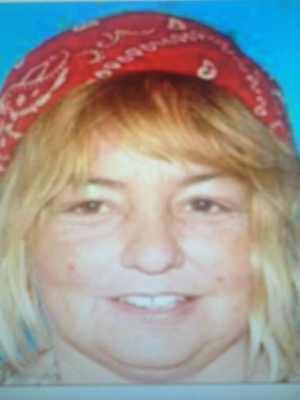 Julie Diehl went missing in Clearlake, Calif., on the morning of Thursday, July 4, 2013. A search for her was under way later that day. Photo courtesy of the Clearlake Police Department. juliediehlmug