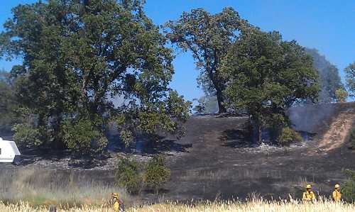 About two acres of vegetation burned in a small vegetation fire near Upper Lake, Calif., on Thursday, June 13, 2013. Photo by Elizabeth Larson. 061313mockingbirdscorched
