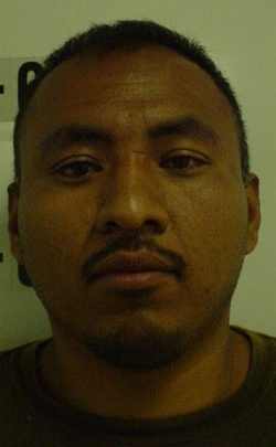 Alejandro Carrada-Cholula, 28, of Windsor, Calif., was arrested on Saturday, June 15, 2013, near Middletown, Calif., for marijuana cultivation and possession. Lake County Jail photo. 061513carradamug