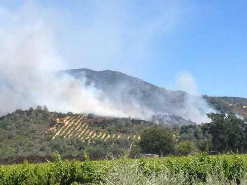 The Mount Fire on Konocti Road in Kelseyville, Calif., was burning near orchards and a vineyard on Thursday, June 20, 2013. Photo by Justin Barnes. 062013barnesvineyard