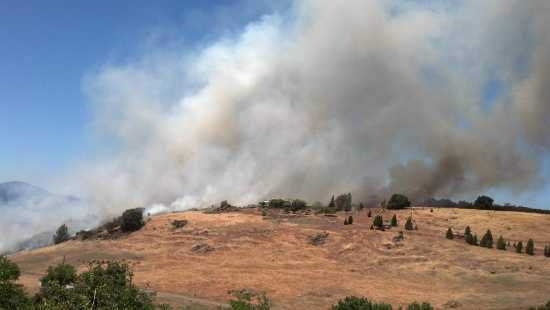 Firefighters worked to protect structures from the Mount Fire on Konocti Road in Kelseyville, Calif., on Thursday, June 20, 2013. Photo by Gigi Stahl. 062013stahlhouses