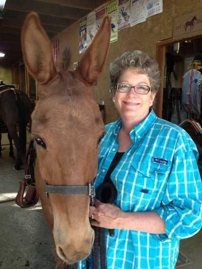Carol Thorn, seen here with a mule pal, has been named the grand marshal of the 2013 Lake County Rodeo, which takes place Friday, July 12, and Saturday, July 13, 2013, in Lakeport, Calif. Courtesy photo. carolthornandfriend