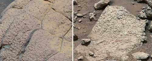 These fine-grained sediments, likely deposited under water, suggest that Mars could have supported ancient microbial life. Data gathered by Curiosity indicate a habitable environment characterized by neutral pH, chemical gradients that would have created energy for microbes, and a distinctly low salinity, which would have helped metabolism if microorganisms had ever been present. Photo courtesy of NASA. 031613marsroverrocks