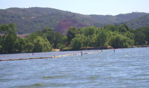 Another view of booms placed near Clearlake Oaks, Calif., to keep blue green algae at bay. Photo courtesy of Leroy Dubrall. clearlakeoaksbooms2april30