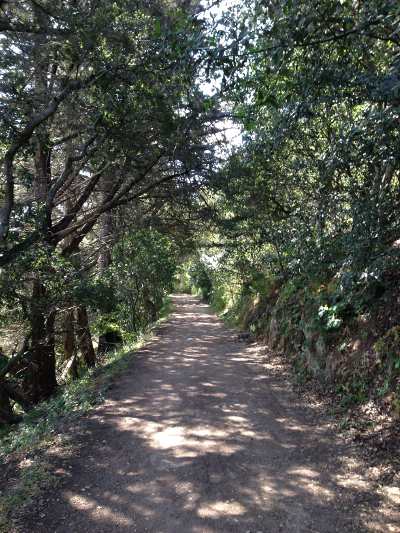 Old Stagecoach Road between San Juan Bautista and Salinas, Calif. Photo by Bill Morgan. billmorgan0486