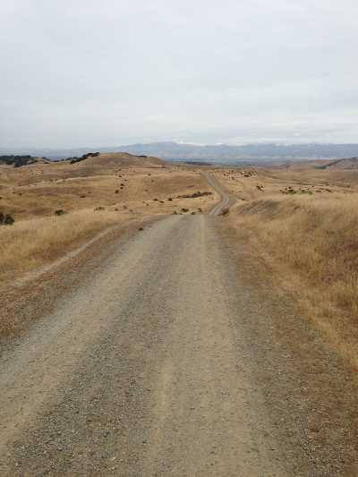 Skyline Road on old Fort Ord between Monterey and Spreckles, Calif. Photo by Bill Morgan. billmorgan0551
