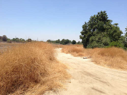 Part of the San Gabriel River Trail in El Monte, Calif. Photo by Bill Morgan. billmorgan0949