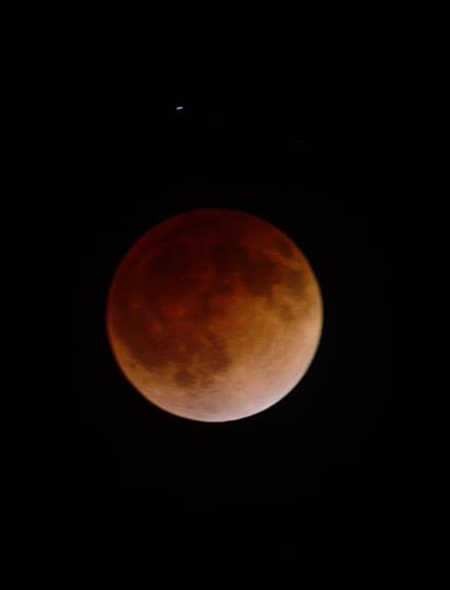 Photo of the lunar eclipse at full peak by Tara Hall. 041514tarahall