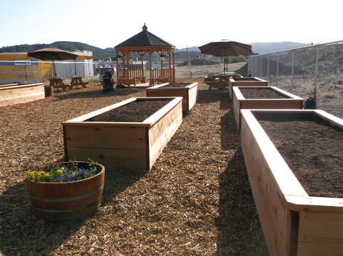 The new garden on the Lake County Tribal Health Consortium grounds in Lakeport, Calif., before the ribbon cutting on Thursday, May 29, 2014. Photo by Elizabeth Larson/Lake County News. 052914tribalgarden