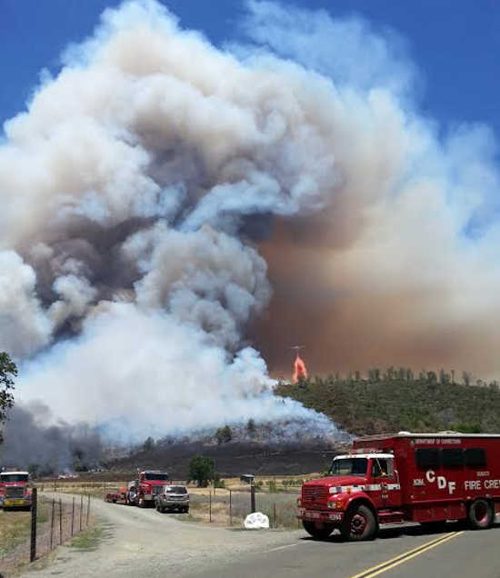 Firefighters at the scene of the Butts Fire in Pope Valley, Calif., on Tuesday, July 1, 2014. Photo by Bill Djernes. 070114buttsfiredjernes