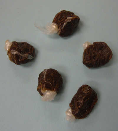 Bindles containing what is believed to be heroin that was found in the possession of Thomas Earl Sheppard, 74, of Chico, Calif., who was arrested on Thursday, July 17, 2014. Lake County Sheriff's Office photo. 071714sheppardbindle