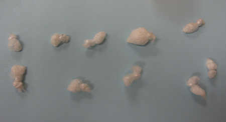 Methamphetamine found in the possession of Thomas Earl Sheppard, 74, of Chico, Calif., who was arrested on Thursday, July 17, 2014. Lake County Sheriff's Office photo. 071714sheppardmeth