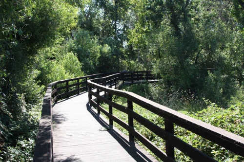 Come visit Anderson Marsh State Historic Park for the last walk and tour of the summer on Saturday, August 9, 2014. Courtesy photo. andersonmarshboardwalk