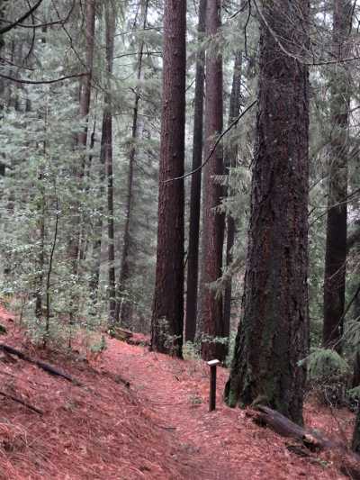 boggsinterpretivetrail