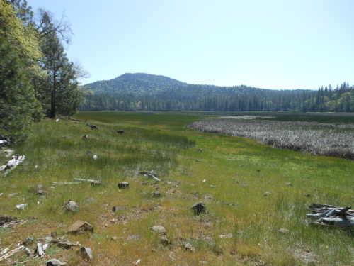 Boggs Lake Preserve is a unique vernal pool ecosystem in Lake County. Photo courtesy of the Lake County Land Trust. boggslake