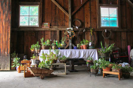 The Upper Lake Horticultural Happening, which takes place in Upper Lake, Calif., from 10 a.m. to 4 p.m. Saturday, April 26, and Sunday, April 27, 2014, will feature an array of presentations, demonstrations, artwork, plants and garden related vendors at the Red Barn and Tallman Hotel on Main Street in Upper Lake. The event is made possible through generous donations from the County of Lake, Savings Bank of Mendocino, Drains Etc, Upper Lake Community Council, North Shore Business Council, Lake County Wine Studio and the Blue Wing Saloon. Photo by Nathan DeHart. horthappedisplay