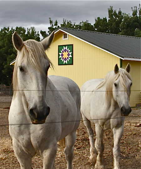 The “Green Mountain Star” quilt block installed at Big Valley Sheep Farm and Ladera Verde Percherons in Lakeport, Calif. Photo by Bill Groody. lcqtgreenmtnstar