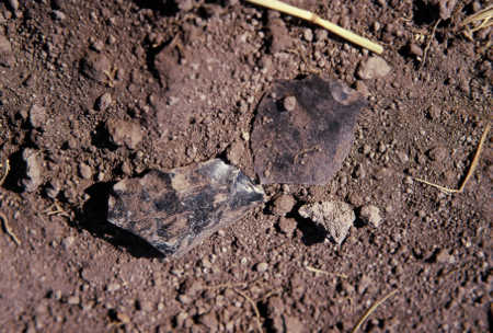 Obsidian rock shards at Anderson Marsh State Historic Park in Lower Lake, Calif. Photo by Kathleen Scavone. scavoneamiaobsidian