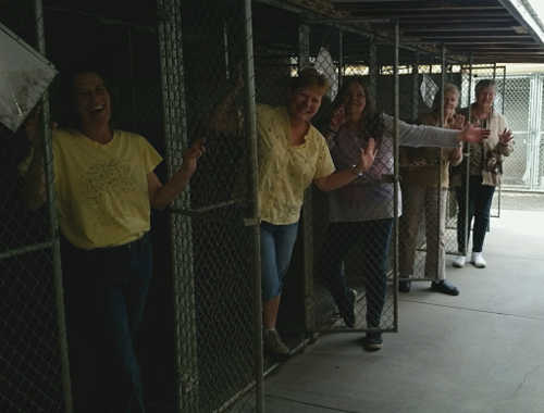 The board of the SPCA of Clear Lake at the organization's now-empty kennels on Tuesday, February 9, 2016. Courtesy photo. 020916spcakennels