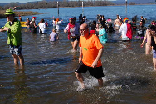 Plungers wading in and out of Clear Lake at Lakeside County Park in Kelseyville, Calif., during the Lake County Polar Plunge on Saturday, February 21, 2015. Lake County News file photo. 022115polarplungegroup